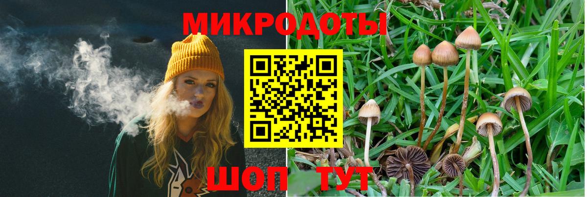 Галлюциногенные грибы мухоморы  Вход с VPN  Зерноград 
